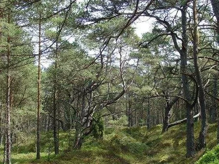 Campingplads Letniskowe Paloma