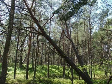Letniskowe Paloma * Białogóra