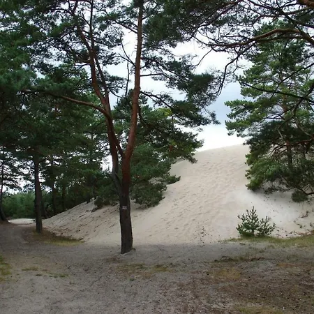 Letniskowe Paloma *