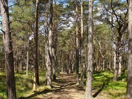 Kamp alanı Letniskowe Paloma *